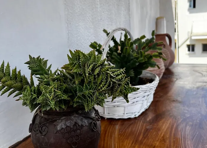 In The Heart Of Kato פאפוס